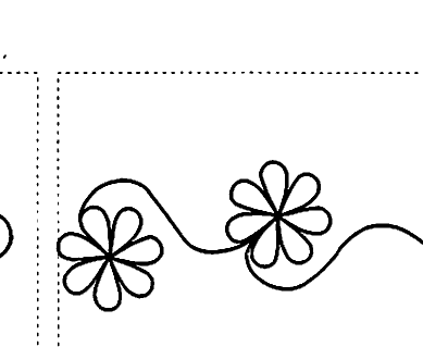 Daisy Border
